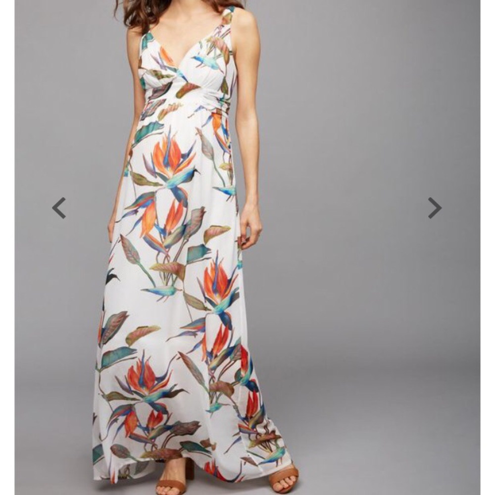 Pea In a Pod Maternity🤰 Dress